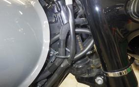 KAWASAKI W800 STREET 2022 EJ800E