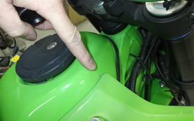 KAWASAKI KLX250 Gen.2 2023 LX250S
