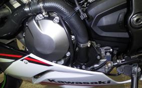 KAWASAKI NINJA ZX-6R A 2021 ZX636G