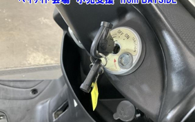 OTHER  MAJESTY 155S-2