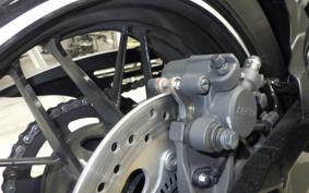 KAWASAKI Z900RS 2024