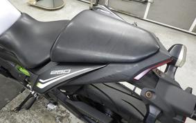 KAWASAKI NINJA 250 SL