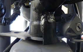 OTHER +UNREGISTERED MODEL by BDS 2022