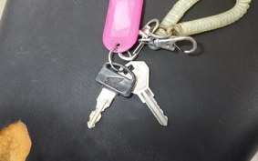 HONDA GYRO CANOPY TA03