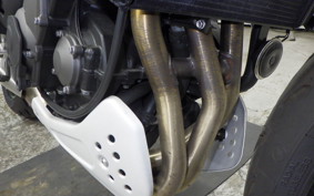 TRIUMPH TRIDENT 660 2025