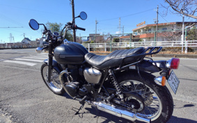 KAWASAKI W800 STREET 2019 EJ800B