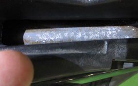 SUZUKI SKYWAVE 250SS CJ43A