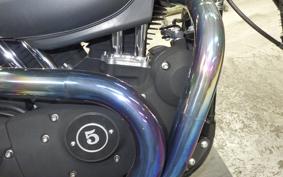 OTHER +HD. XL1200X 2010