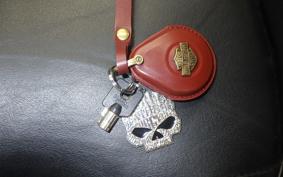 HARLEY FLHTCUTG 1870 2020