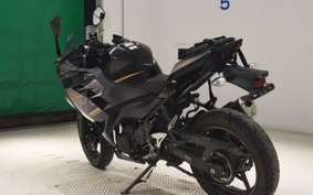 KAWASAKI NINJA 250 2
