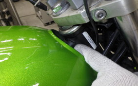 KAWASAKI BALIUS 250 Gen.2 2022 ZR250B