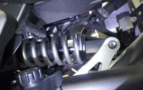 KAWASAKI NINJA 1000SX 2024 ZXT02K
