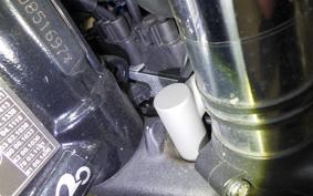 TRIUMPH STREET SCRAMBLER 2000