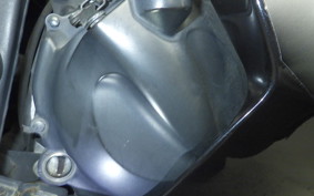 KAWASAKI NINJA 250R 2024 EX250K