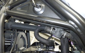 HONDA REBEL 250 2025 MC49