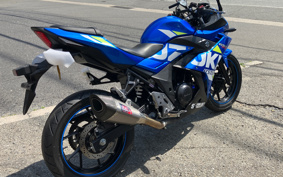 SUZUKI GSX250 R DN11A