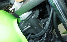 KAWASAKI NINJA 250 2015 EX250L