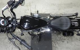 OTHER UNREGISTERED MODEL by BDS250 2024