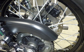 KAWASAKI W800 CAFE 2020 EJ800B