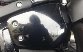 HARLEY FXLRS 2024 YWZ