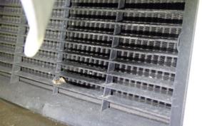 SUZUKI GEMMA 250 CJ47A