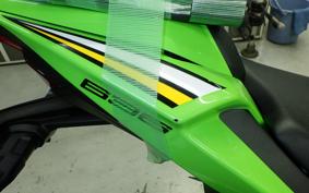 KAWASAKI NINJA ZX-6R A 2025 ZX636J