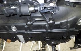 HARLEY RH975 2024