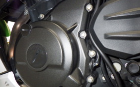 KAWASAKI NINJA 250 2 2021 EX250P