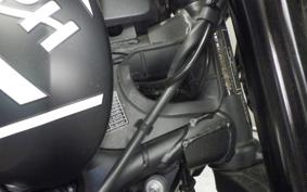 TRIUMPH TRIDENT 660 2021
