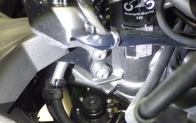 KAWASAKI ZX-4RR 2024 ZX400P