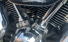 HARLEY FLFBS 2021 YGK