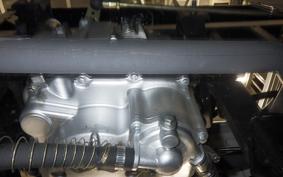 OTHER +UNREGISTERED MODEL by BDS TRIKE250 2014