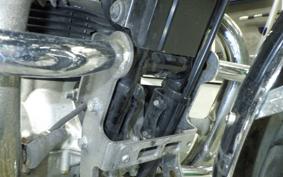 KAWASAKI W800 2021 EJ800B