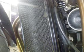 TRIUMPH SPEED TWIN 900 2023