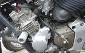 HONDA HORNET 250 MC31