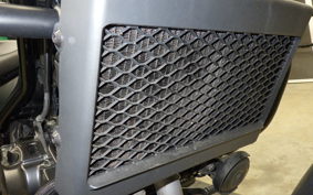 HONDA REBEL 250 2009 MC49