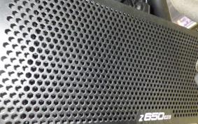 KAWASAKI Z650 RS 2024 ER650R