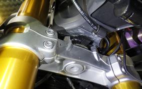 TRIUMPH SPEED TRIPLE RR 2024