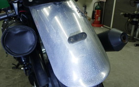 KAWASAKI 250TR 2024 BJ250F