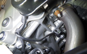 BMW S1000R M PACKAGE 2021