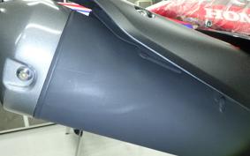 HONDA CRF250 GEN 2 RALLY 2006 MD47