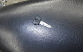 YAMAHA VIRAGO 250 2026 3DM