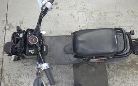 HONDA ZOOMER