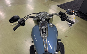 HARLEY  HARLEY FLFBS 2025 YGK