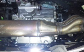 KAWASAKI ZX-4RR 2025 ZX400P