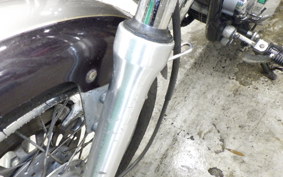 YAMAHA VIRAGO 250 3DM