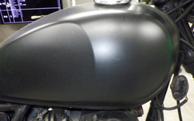 OTHER +MUTTｻﾊﾞｽ250 2023