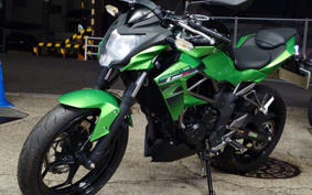 KAWASAKI Z250 SL BR250E