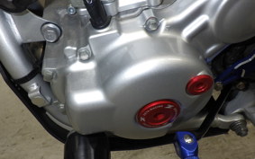 YAMAHA WR250R 2019 DG15J