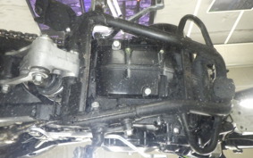 KAWASAKI KLX250D TRACKER X